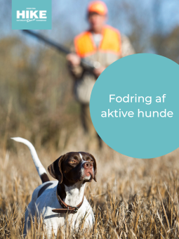 fodring af aktive hunde